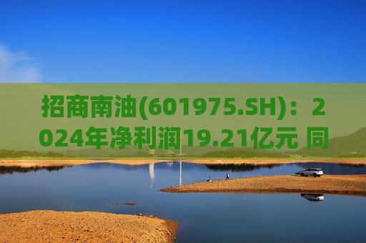 招商南油(601975.SH)：2024年净利润19.21亿元 同比增长23.38%  第1张