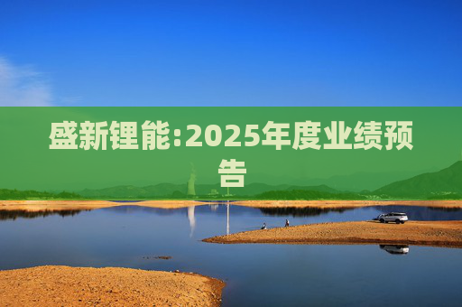 盛新锂能:2025年度业绩预告