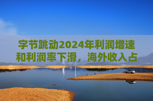 字节跳动2024年利润增速和利润率下滑，海外收入占比达历史最高  第1张