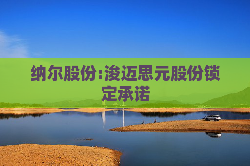 纳尔股份:浚迈思元股份锁定承诺