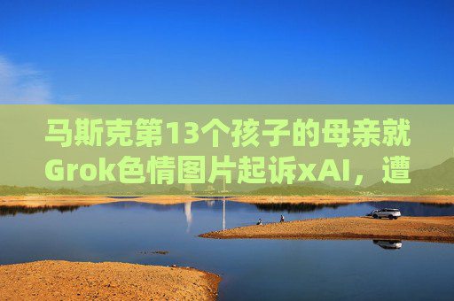 马斯克第13个孩子的母亲就Grok色情图片起诉xAI，遭后者反诉