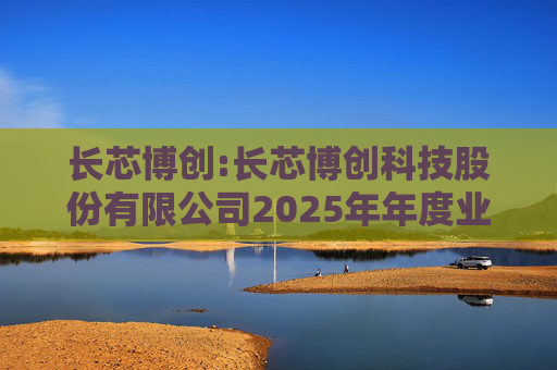 长芯博创:长芯博创科技股份有限公司2025年年度业绩预告  第1张