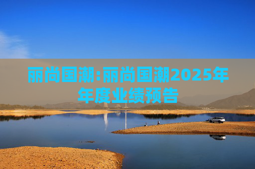 丽尚国潮:丽尚国潮2025年年度业绩预告