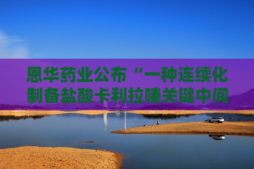 恩华药业公布“一种连续化制备盐酸卡利拉嗪关键中间体的方法”专利  第1张