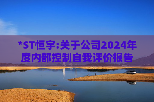 *ST恒宇:关于公司2024年度内部控制自我评价报告