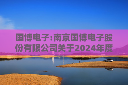 国博电子:南京国博电子股份有限公司关于2024年度募集资金存放与使用情况的专项报告  第1张