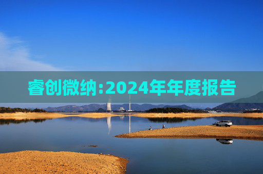 睿创微纳:2024年年度报告