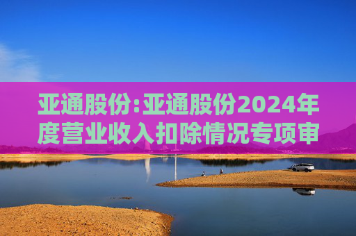 亚通股份:亚通股份2024年度营业收入扣除情况专项审核意见  第1张
