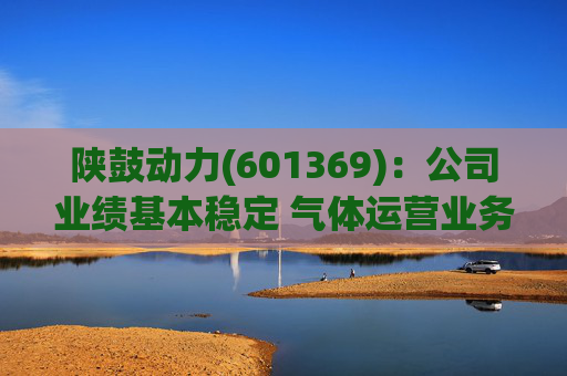 陕鼓动力(601369)：公司业绩基本稳定 气体运营业务贡献新增长引擎