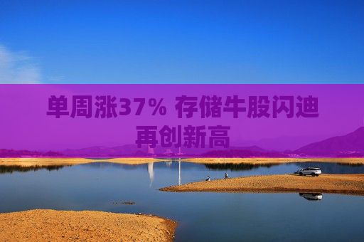 单周涨37% 存储牛股闪迪再创新高