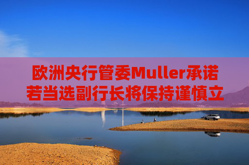 欧洲央行管委Muller承诺若当选副行长将保持谨慎立场