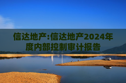 信达地产:信达地产2024年度内部控制审计报告  第1张