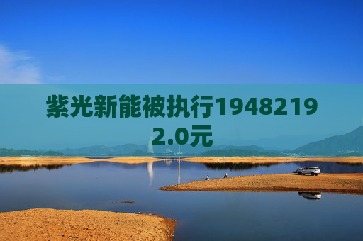 紫光新能被执行19482192.0元