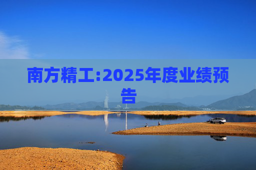 南方精工:2025年度业绩预告