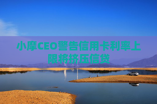 小摩CEO警告信用卡利率上限将挤压信贷