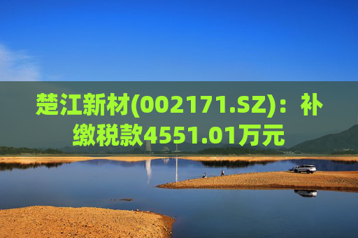 楚江新材(002171.SZ)：补缴税款4551.01万元