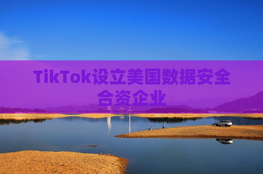 TikTok设立美国数据安全合资企业