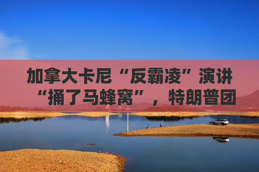 加拿大卡尼“反霸凌”演讲“捅了马蜂窝”，特朗普团队“勃然大怒”  第1张