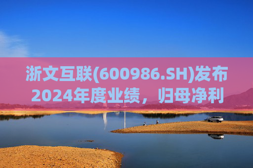 浙文互联(600986.SH)发布2024年度业绩，归母净利润1.58亿元，下降17.92%  第1张
