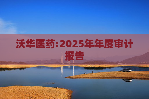 沃华医药:2025年年度审计报告
