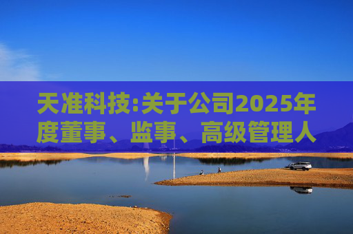 天准科技:关于公司2025年度董事、监事、高级管理人员薪酬方案的公告  第1张