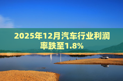 2025年12月汽车行业利润率跌至1.8%