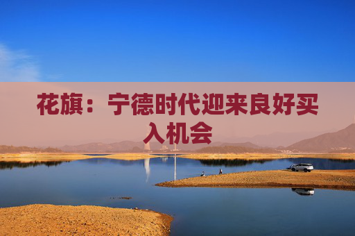 花旗：宁德时代迎来良好买入机会