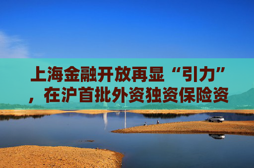 上海金融开放再显“引力”，在沪首批外资独资保险资管开业