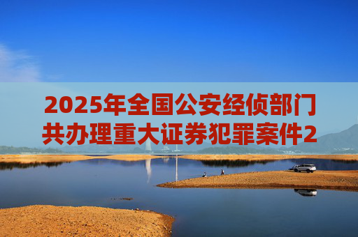 2025年全国公安经侦部门共办理重大证券犯罪案件200余起