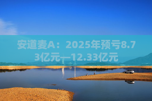 安道麦A：2025年预亏8.73亿元—12.33亿元