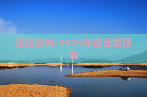 信德新材:2025年度业绩预告