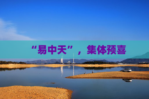 “易中天”，集体预喜