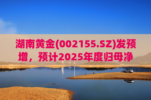 湖南黄金(002155.SZ)发预增，预计2025年度归母净利润12.7亿元至16.08亿元，同比增长50%-90%  第1张