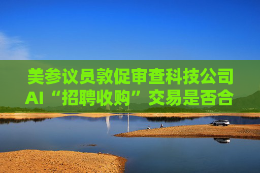 美参议员敦促审查科技公司AI“招聘收购”交易是否合法