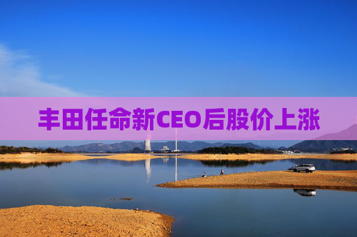 丰田任命新CEO后股价上涨