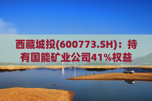 西藏城投(600773.SH)：持有国能矿业公司41%权益