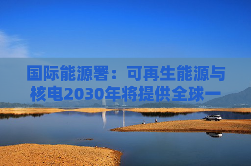 国际能源署：可再生能源与核电2030年将提供全球一半电力