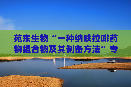 苑东生物“一种纳呋拉啡药物组合物及其制备方法”专利获授权