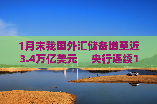 1月末我国外汇储备增至近3.4万亿美元     央行连续15个月增持黄金