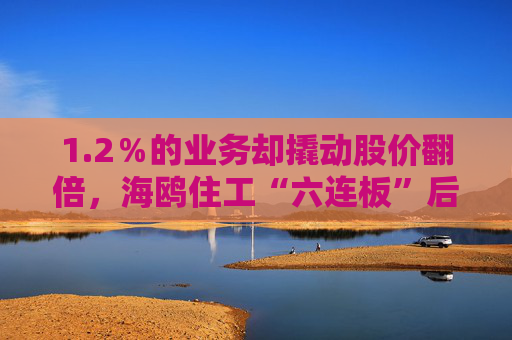 1.2％的业务却撬动股价翻倍，海鸥住工“六连板”后跌停，在越建厂能否扛住关税冲击？