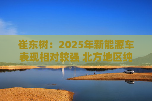 崔东树：2025年新能源车表现相对较强 北方地区纯电动占比提升明显