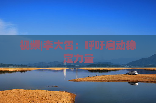 视频|李大霄：呼吁启动稳定力量