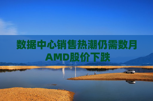 数据中心销售热潮仍需数月 AMD股价下跌