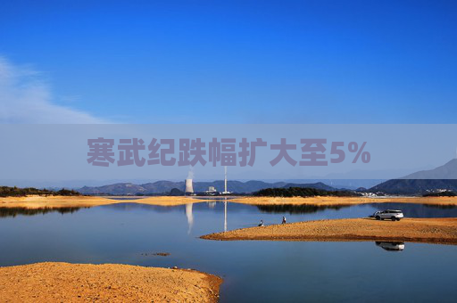 寒武纪跌幅扩大至5%
