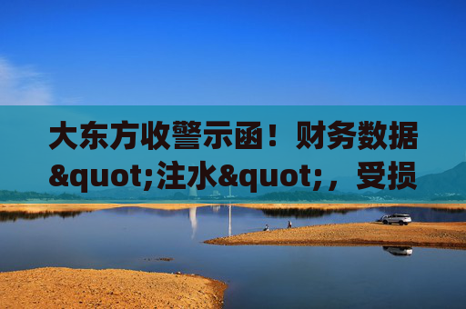 大东方收警示函！财务数据"注水"，受损股民可索赔维权