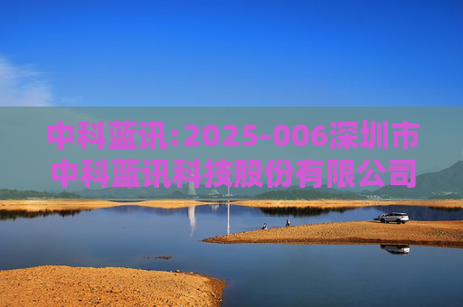 中科蓝讯:2025-006深圳市中科蓝讯科技股份有限公司投资者关系活动记录表