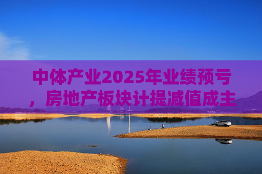 中体产业2025年业绩预亏，房地产板块计提减值成主因