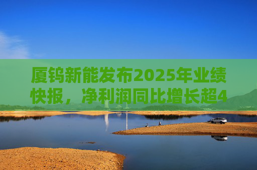 厦钨新能发布2025年业绩快报，净利润同比增长超40%