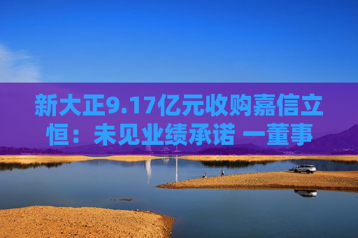 新大正9.17亿元收购嘉信立恒：未见业绩承诺 一董事反对一独董弃权