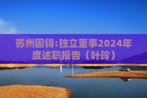 苏州固锝:独立董事2024年度述职报告（叶玲）  第1张